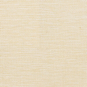 Arima Cream (24)