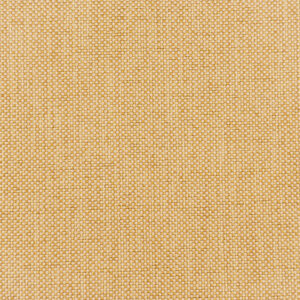 Arima Maize (14)