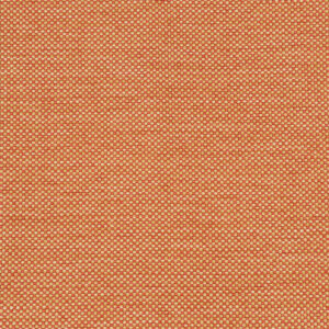 Arima Tangerine (27)