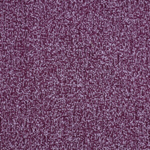 Atlas Lilac