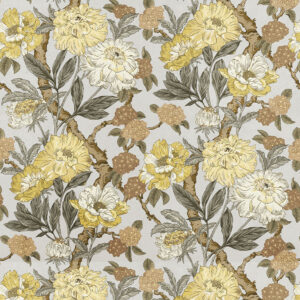Botany Marigold