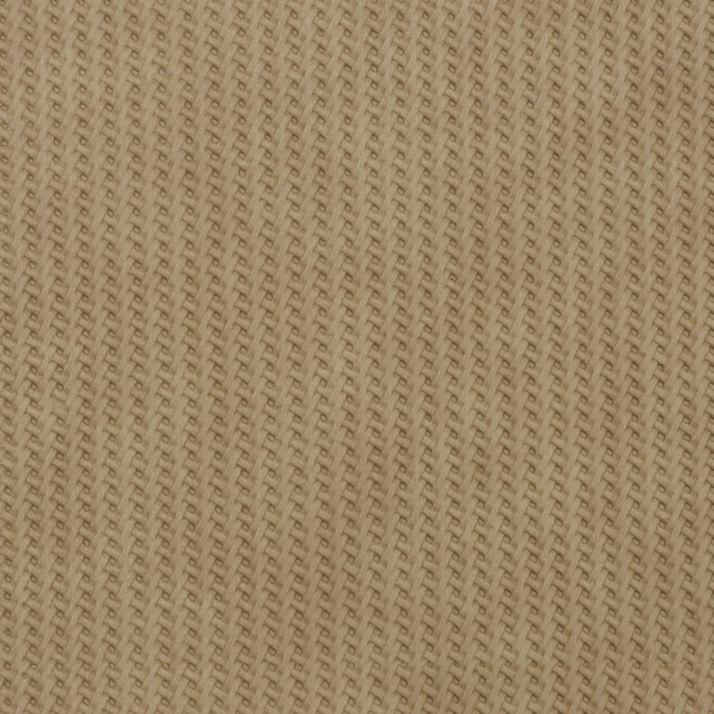 Braided Camel