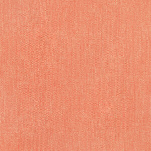 Brussels Coral