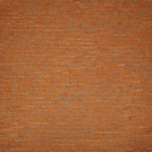 Dawson Tangerine