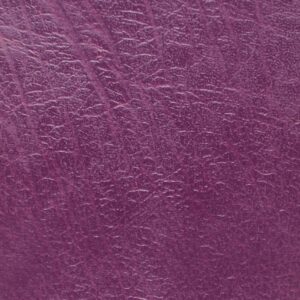 Dyna Amaranth