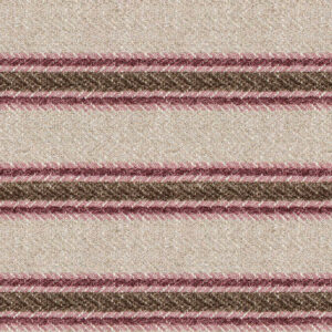 Gazebo Stripe Begonia