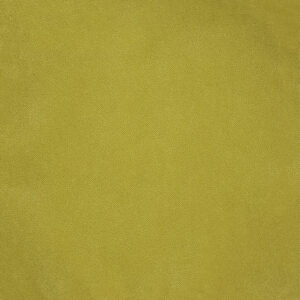 Holmes Citron