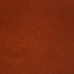Holmes Tangerine