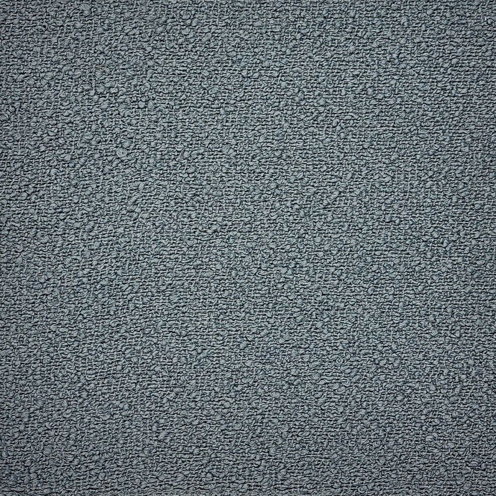Laguna Fossil