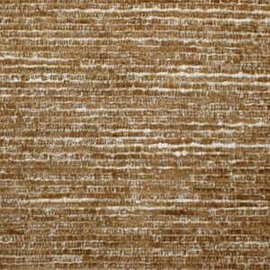 Landscape Birch