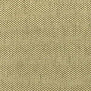 Luxe Ochre