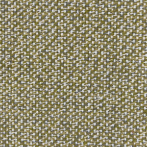 Magellan Mustard