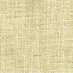Mayaro Bone (3)
