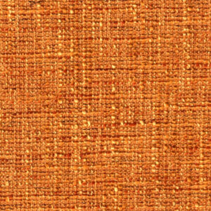 Mayaro Pumpkin (37)