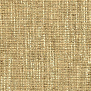 Mayaro Wheat (5)