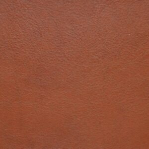 Mundano Saddle