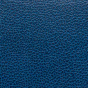 Mystical Real Teal