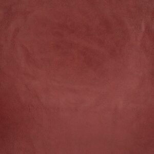 Nell Carmenere