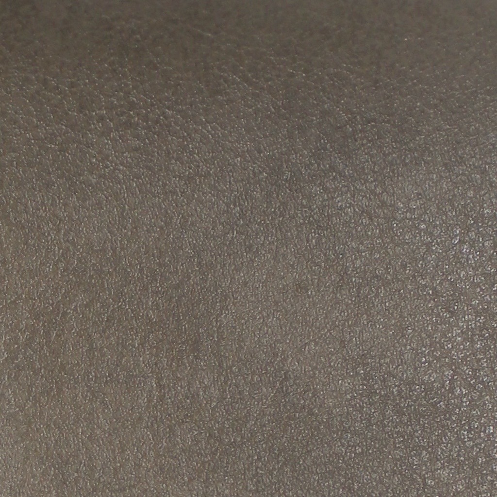 Overcast Elephant