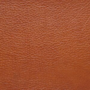 Prince Saddle