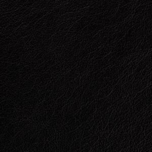 Regent Black