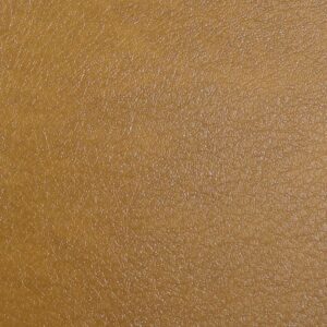 Reina Ochre