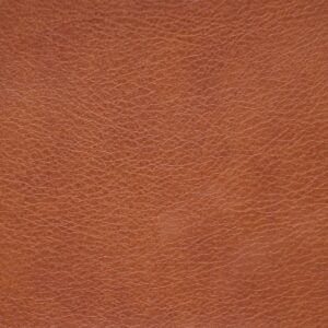 Reina Saddle