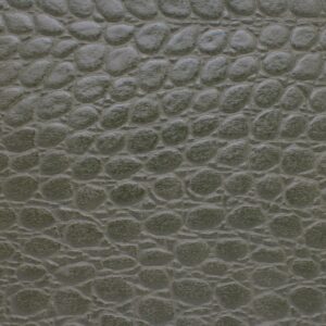 Reptile Palm