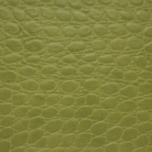 Reptile Stem