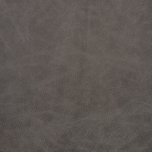 Saloon Grey