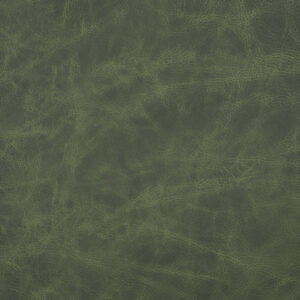Saloon Spruce