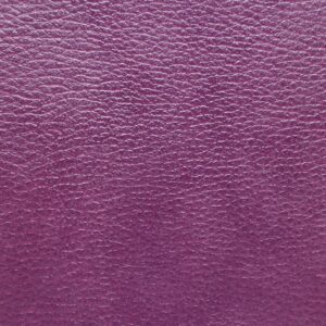 Splendor Amaranth