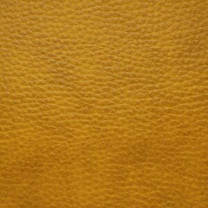 Splendor Gold