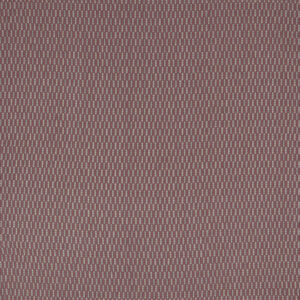 Stepstone Orchid