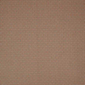 Stepstone Rose