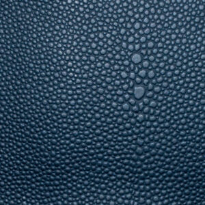 Stingray Navy Blue