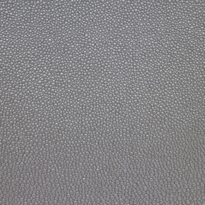 Stingray Platinum