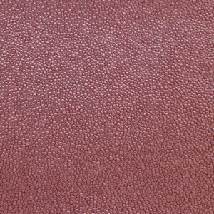 Stingray Russian Cherry