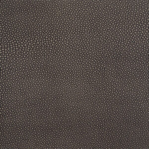 Stingray Shimmer Bronze