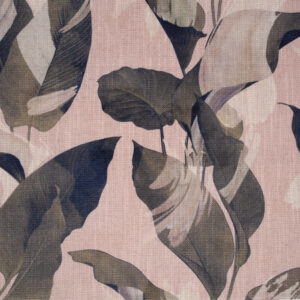 Toledo Blush