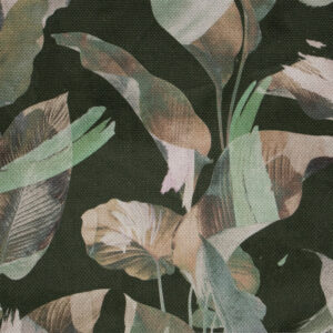 Toledo Forest