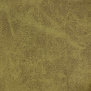 Travertine Olive