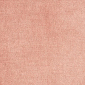 Vacation Blush