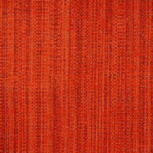 Valencia Tangerine (19)