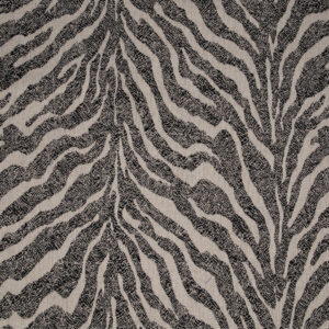 Wild Zebra Midnight