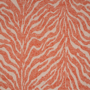 Wild Zebra Tangerine